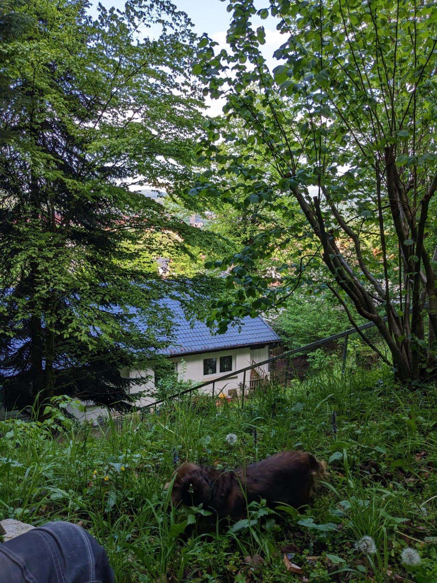 Ferienwohnung Bad Sooden- Allendorf Esterno foto